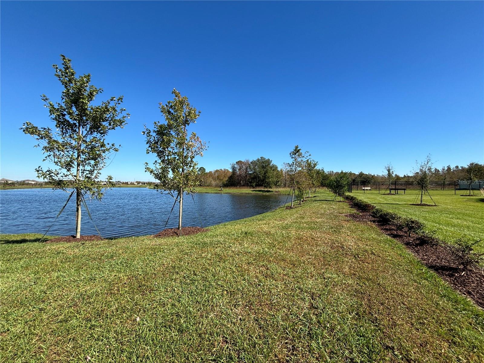17481 SPANISH OAK LOOP, LAND O LAKES, FL, 34638