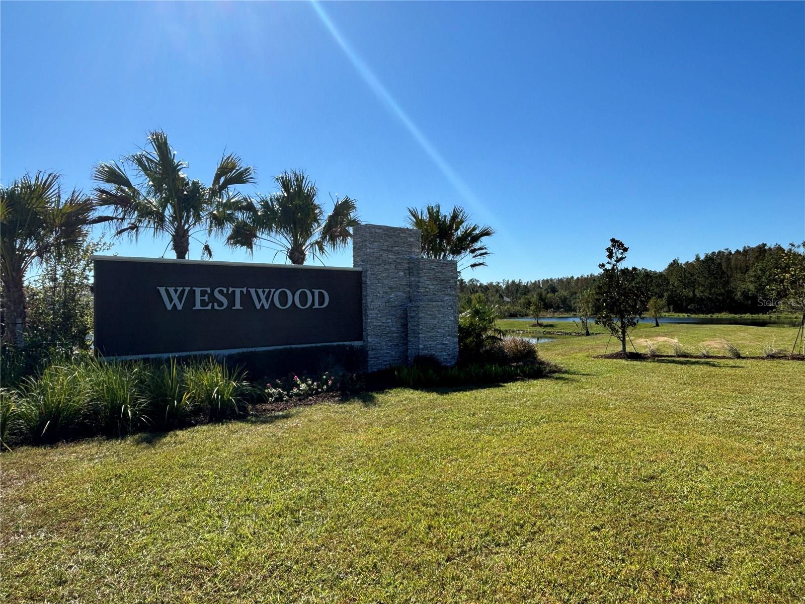 17481 SPANISH OAK LOOP, LAND O LAKES, FL, 34638