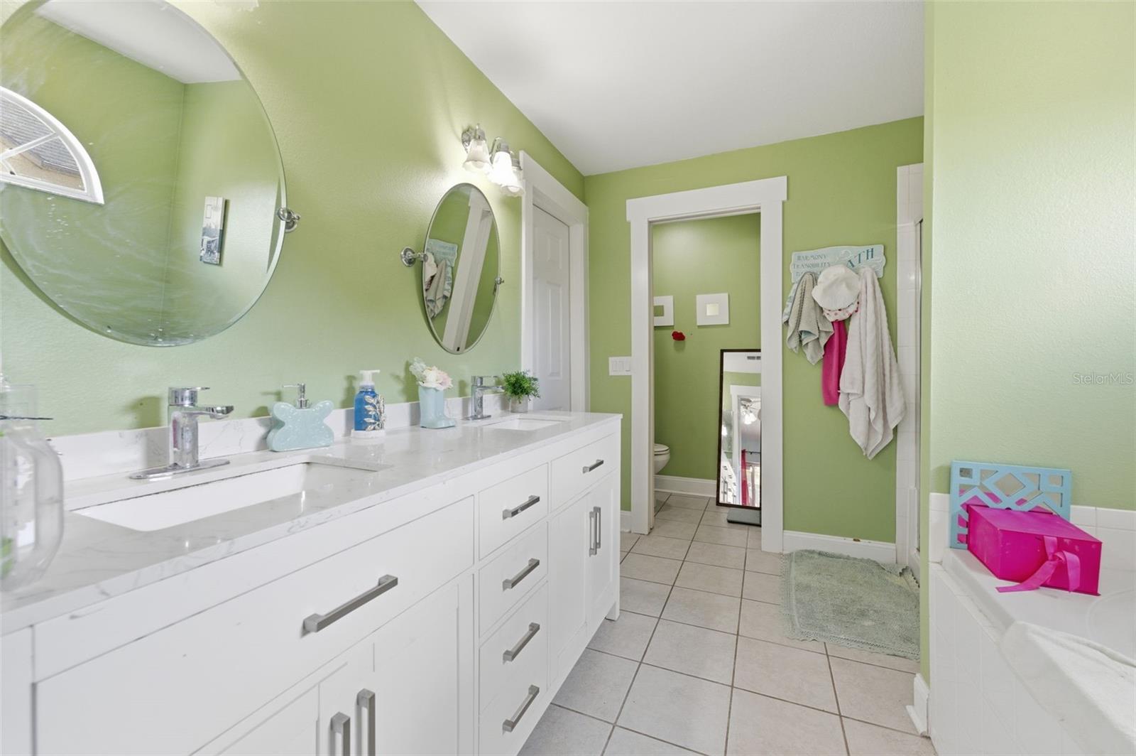 26843 ROSEANN PL, LUTZ, FL, 33559