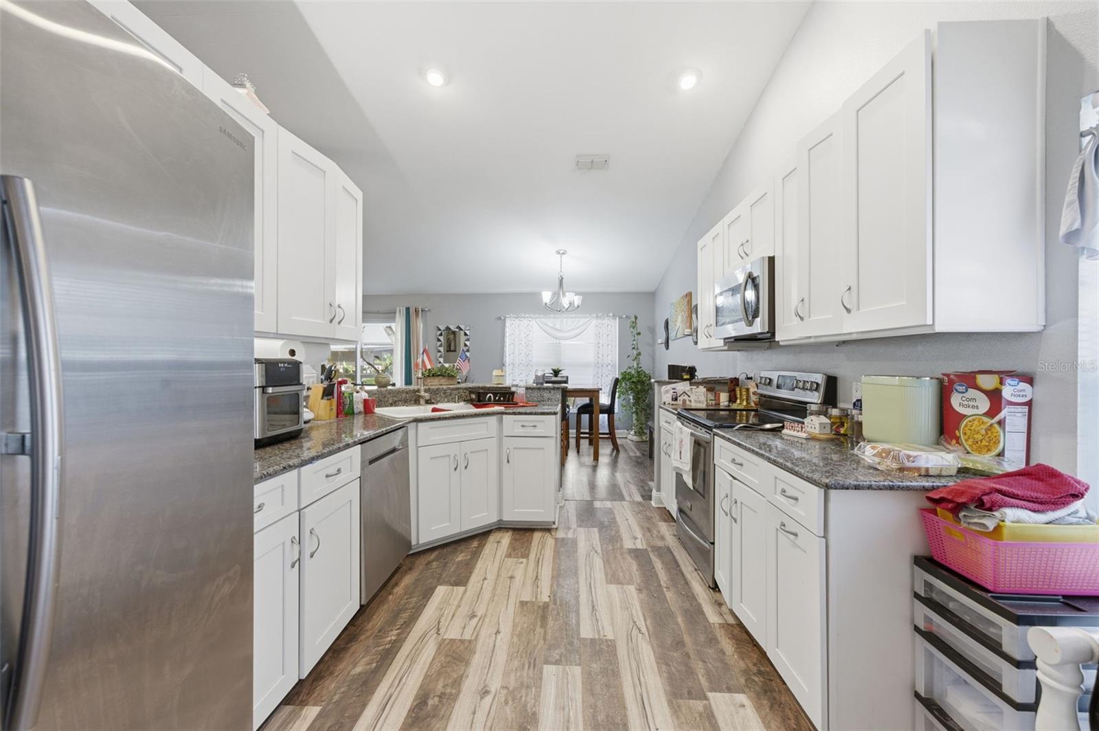 26843 ROSEANN PL, LUTZ, FL, 33559