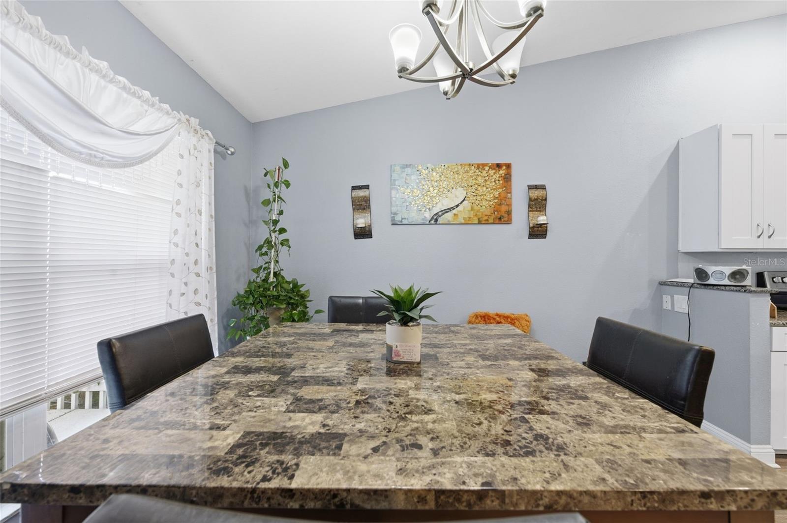 26843 ROSEANN PL, LUTZ, FL, 33559