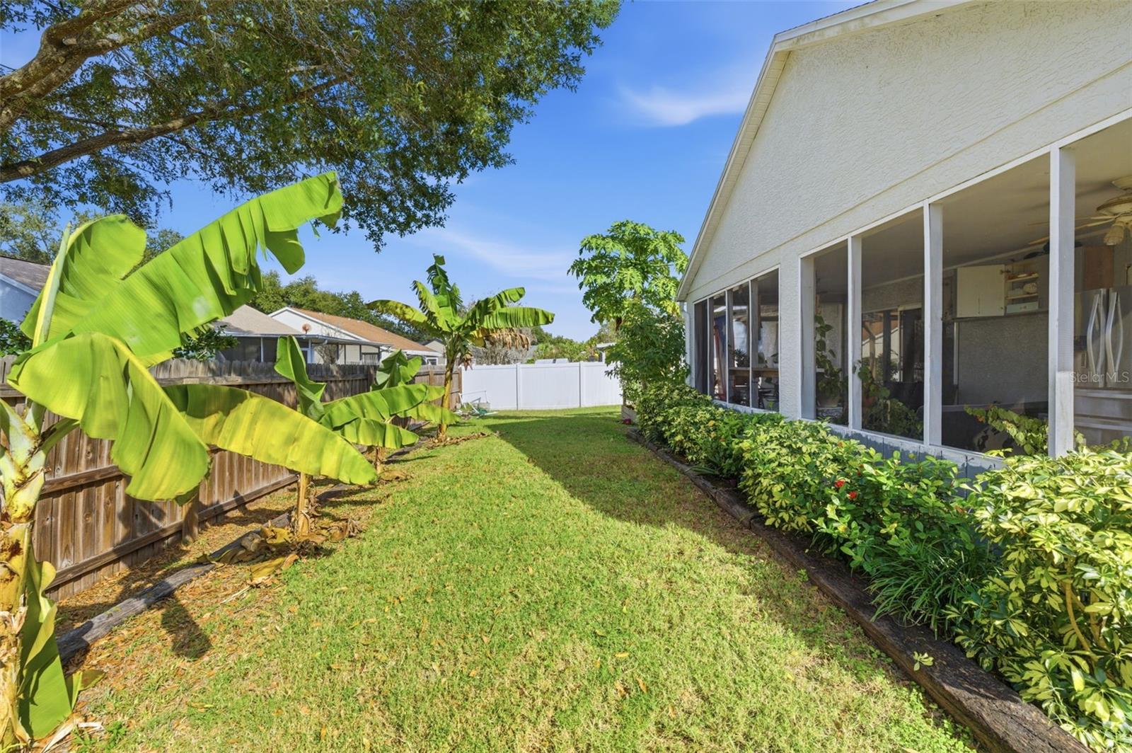 26843 ROSEANN PL, LUTZ, FL, 33559