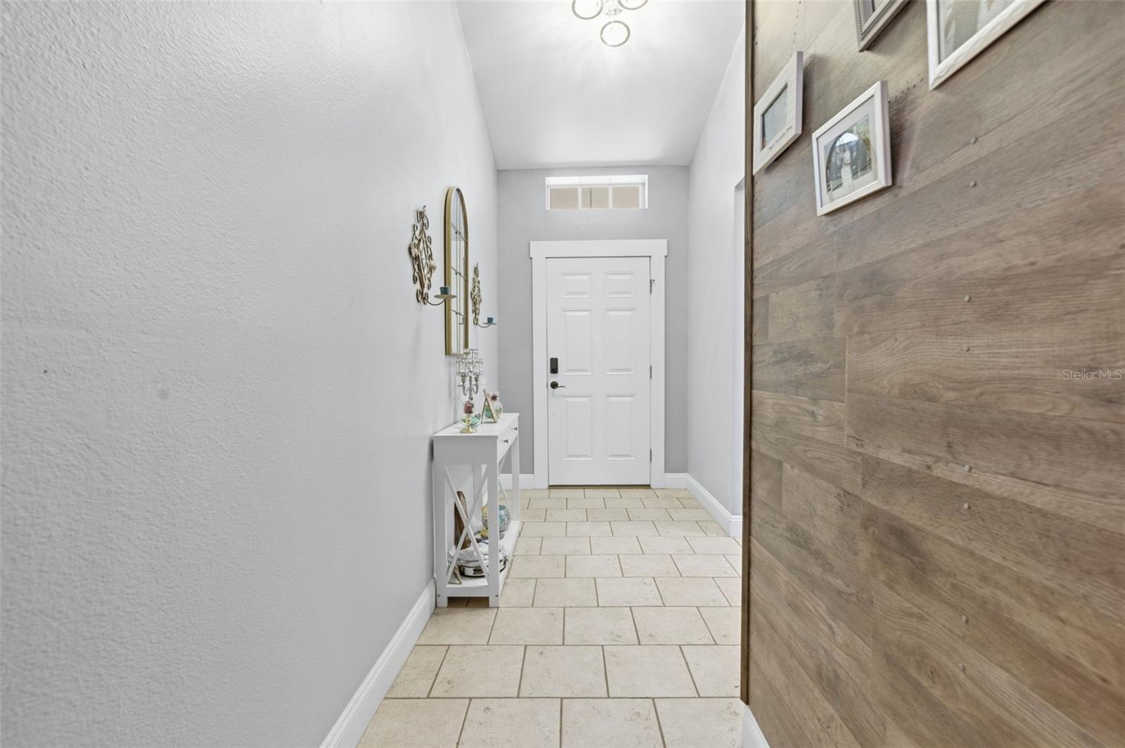 26843 ROSEANN PL, LUTZ, FL, 33559