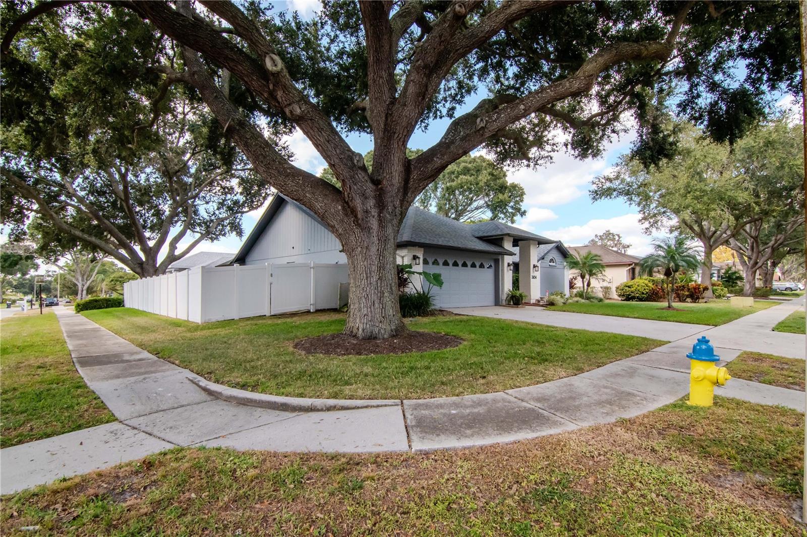 2634 GREEN VALLEY ST, VALRICO, FL, 33596