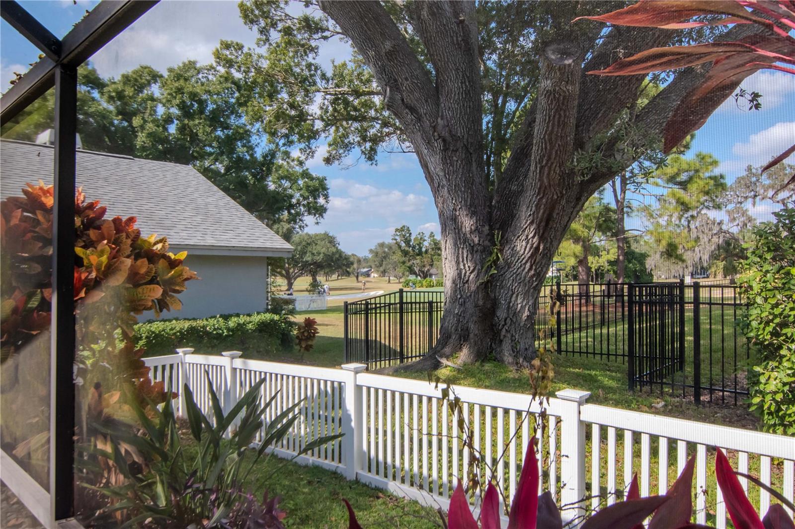 2634 GREEN VALLEY ST, VALRICO, FL, 33596