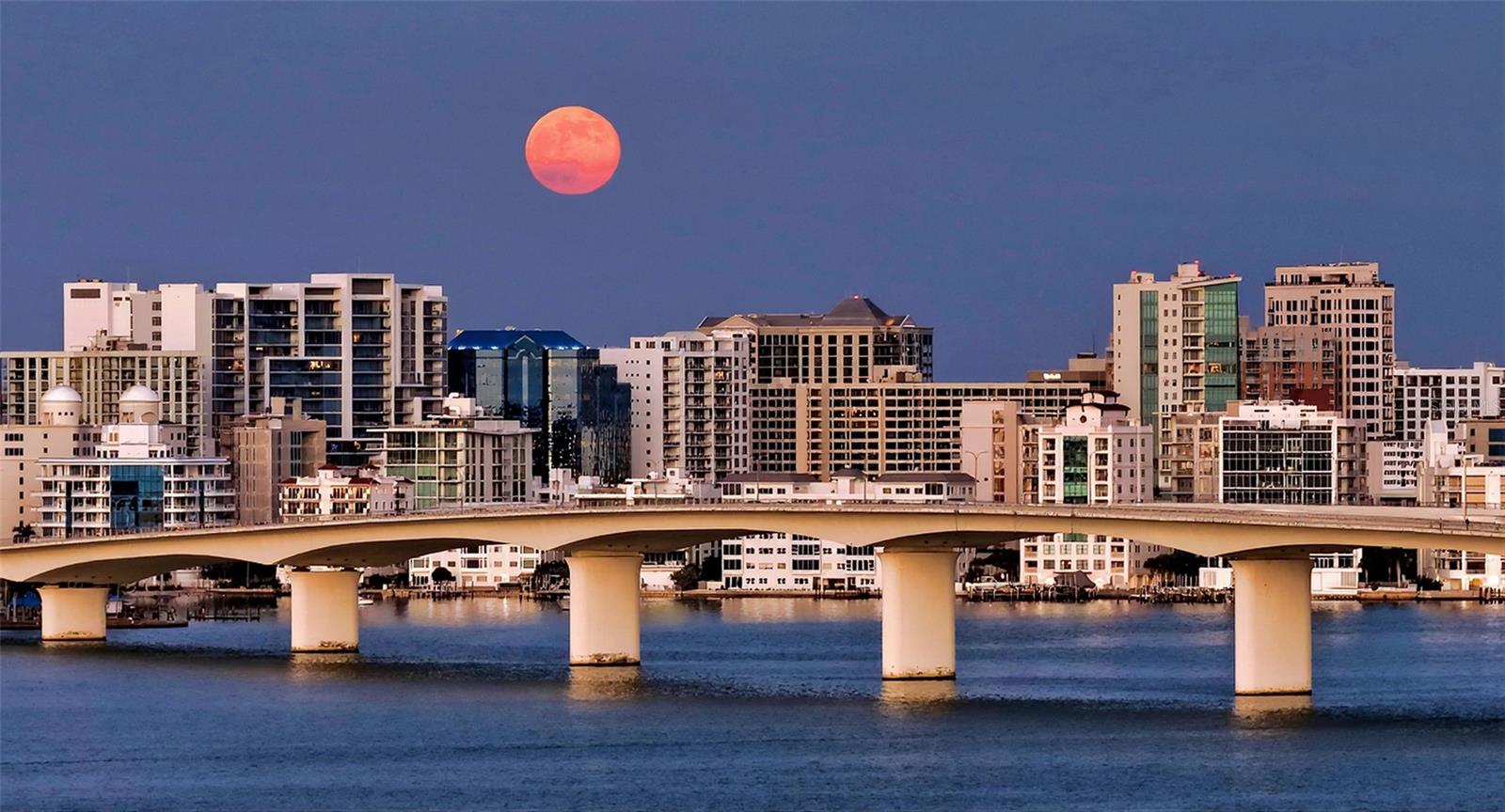 300 S PINEAPPLE AVE #902, SARASOTA, FL, 34236