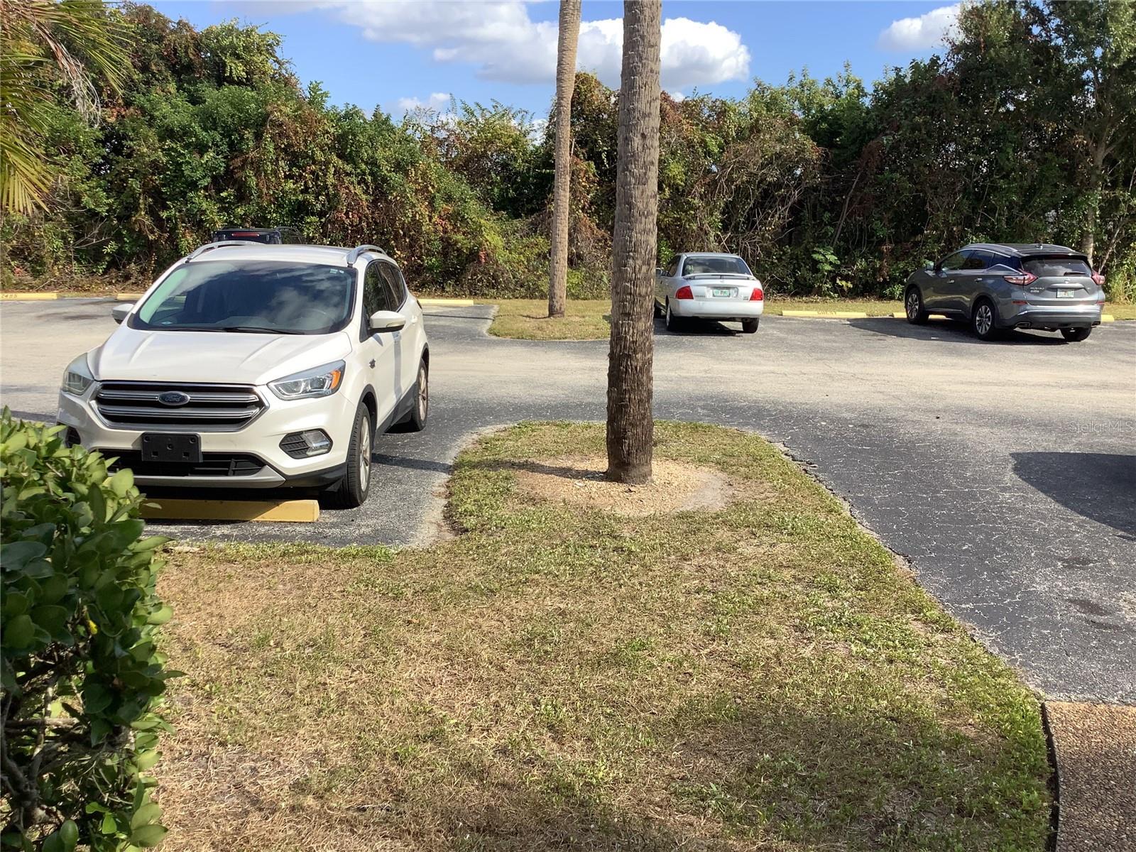 2481 TWIN DR #29, SARASOTA, FL, 34234