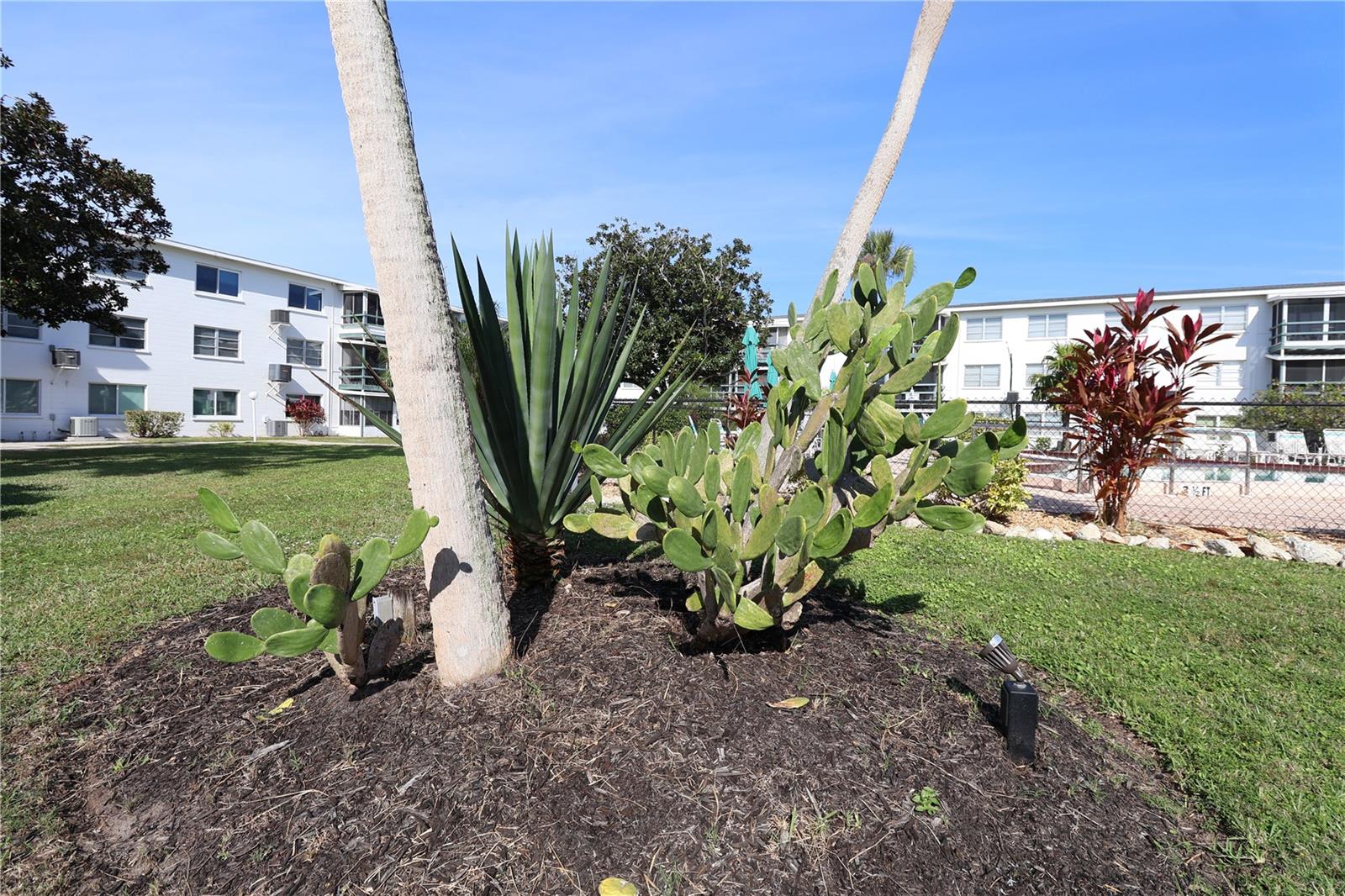 A4672598 Property Photo