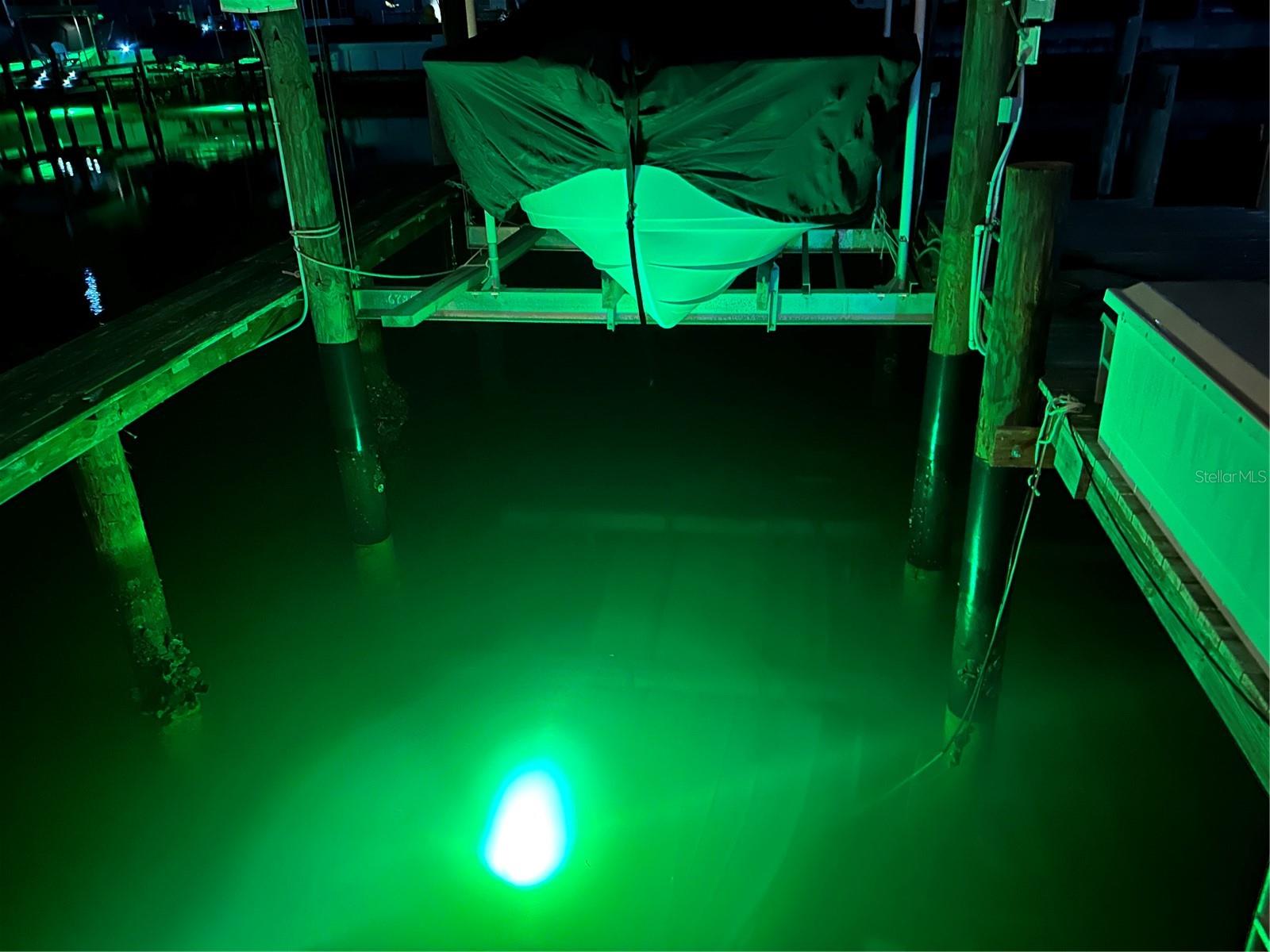 4461 38TH WAY S, ST PETERSBURG, FL, 33711