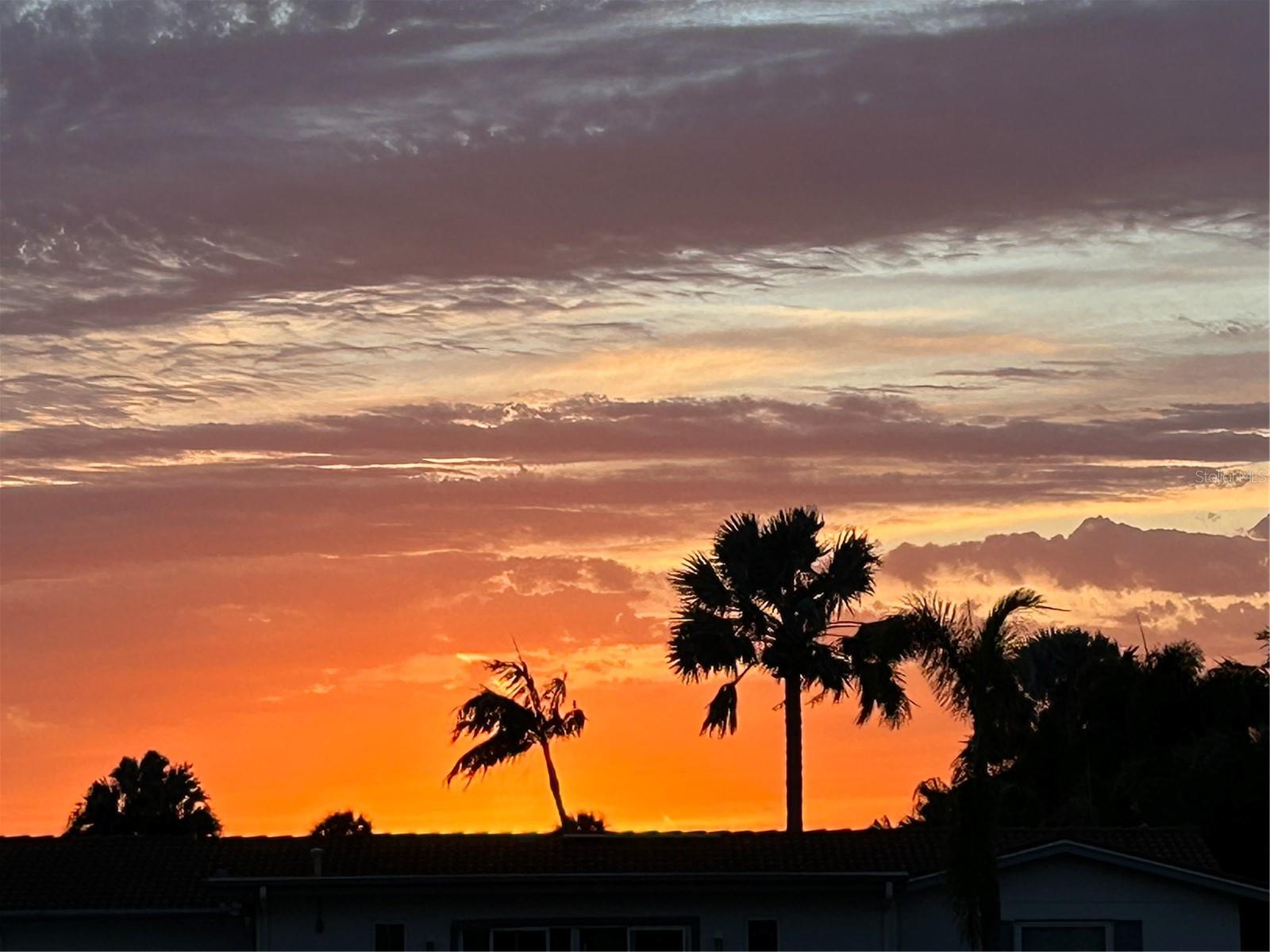 4461 38TH WAY S, ST PETERSBURG, FL, 33711