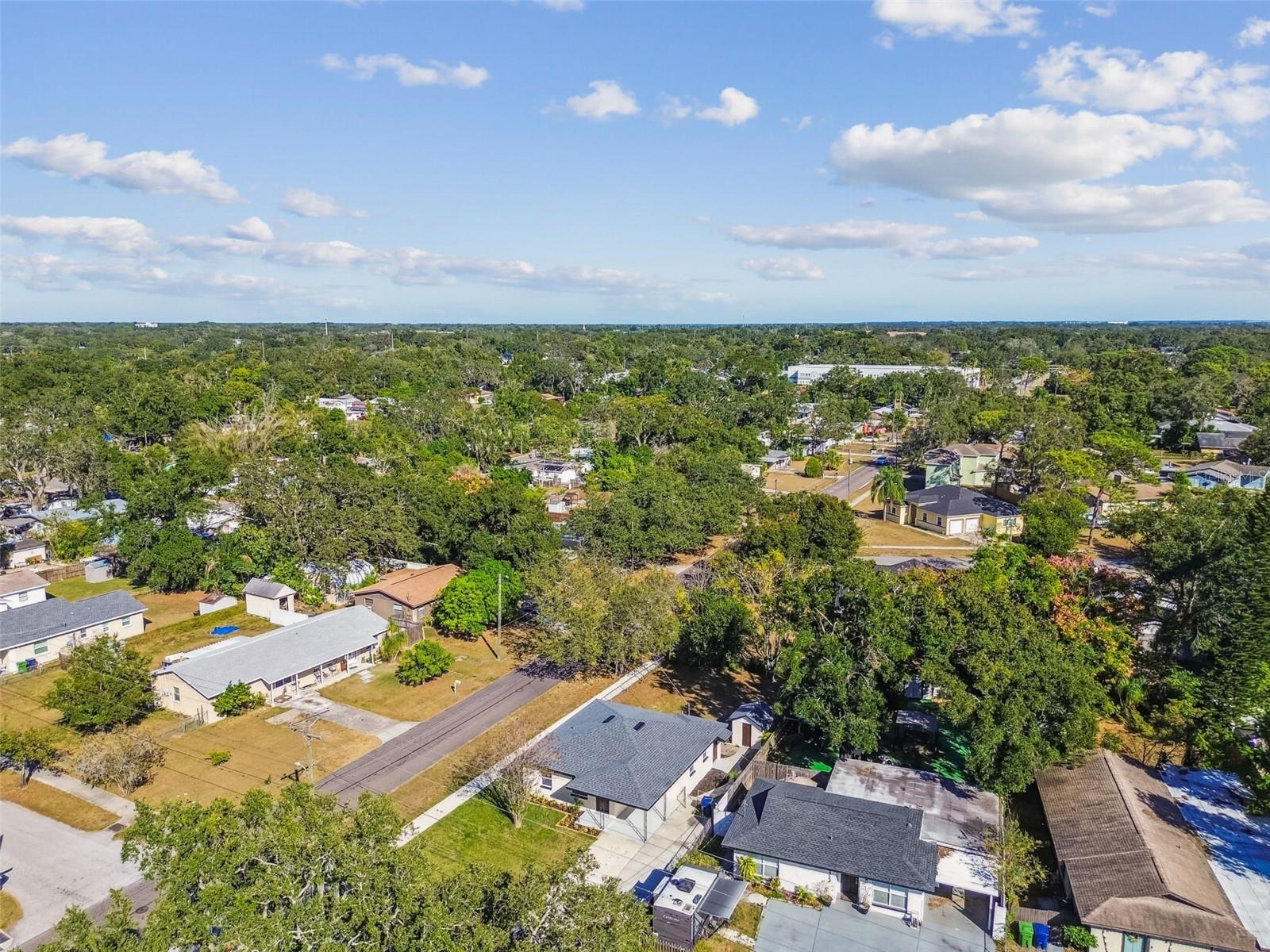 8325 N ORANGEVIEW AVE, TAMPA, FL, 33617