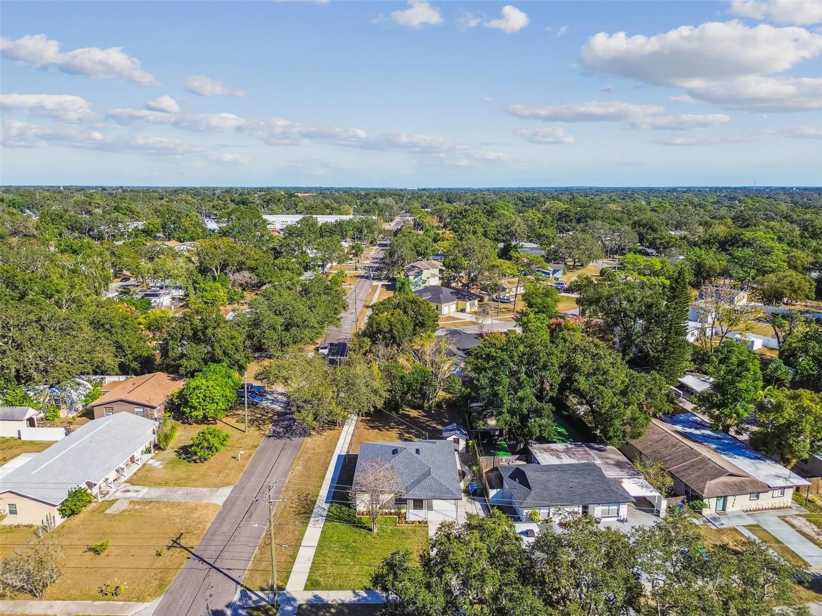 8325 N ORANGEVIEW AVE, TAMPA, FL, 33617