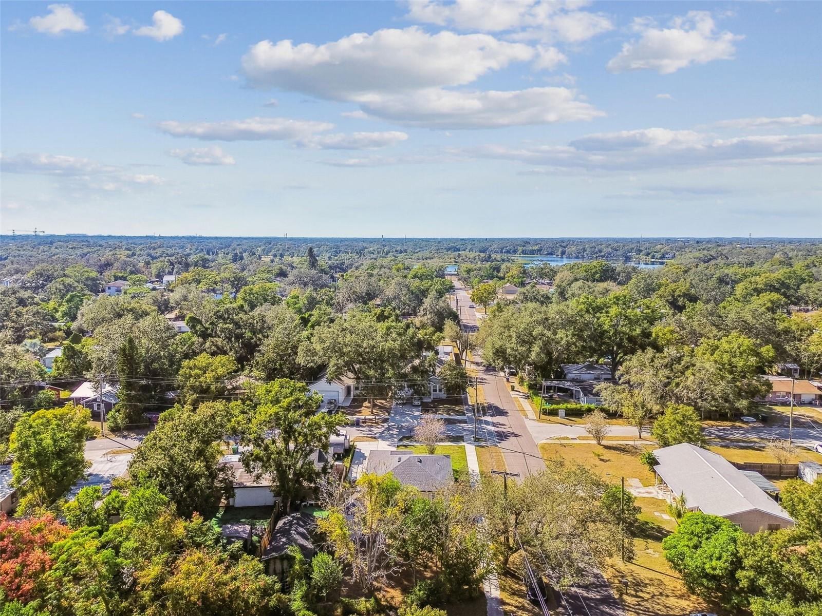 8325 N ORANGEVIEW AVE, TAMPA, FL, 33617