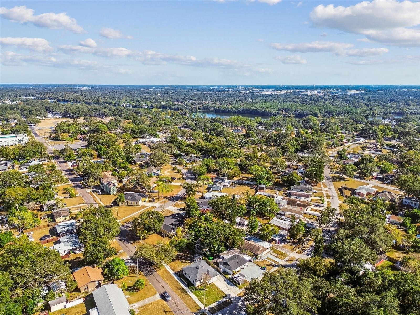 8325 N ORANGEVIEW AVE, TAMPA, FL, 33617