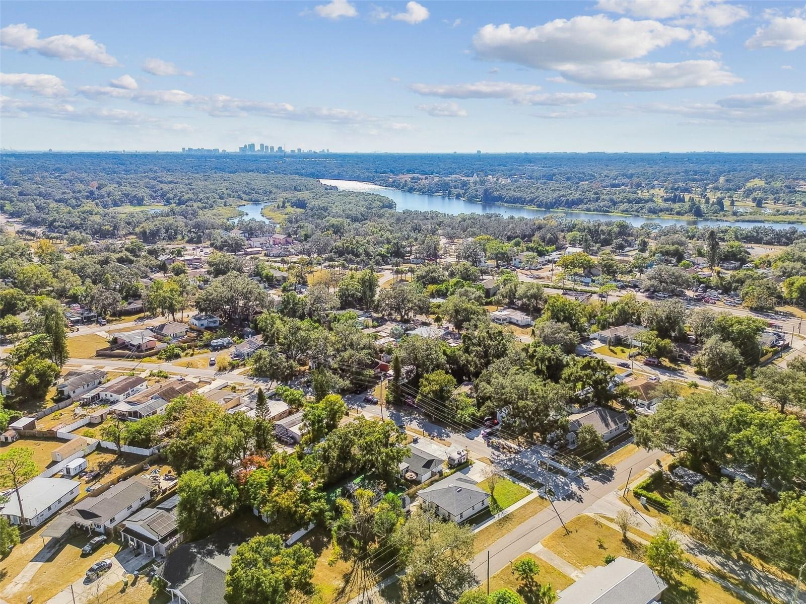 8325 N ORANGEVIEW AVE, TAMPA, FL, 33617