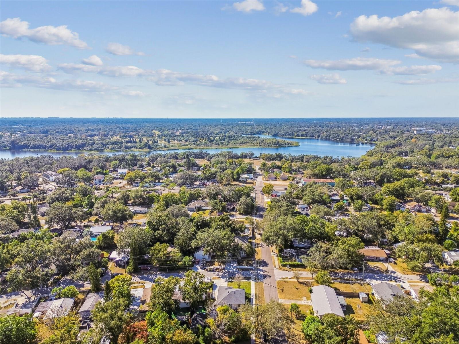 8325 N ORANGEVIEW AVE, TAMPA, FL, 33617