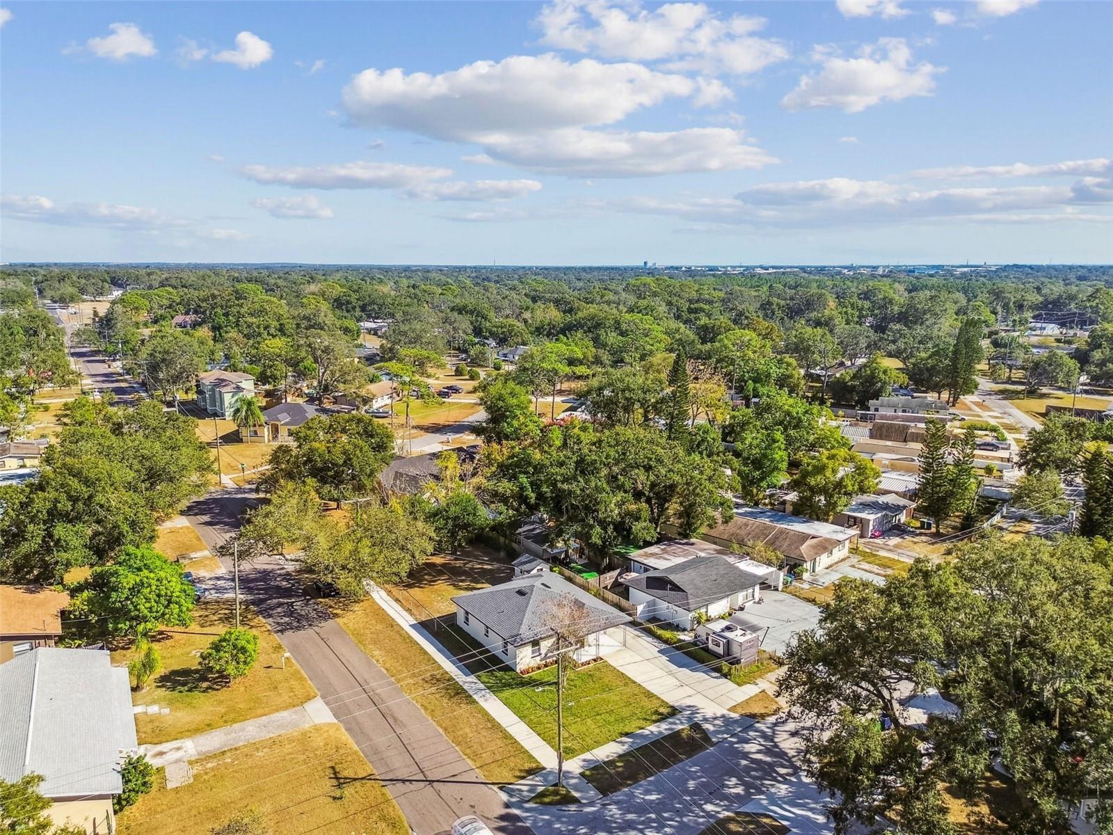 8325 N ORANGEVIEW AVE, TAMPA, FL, 33617