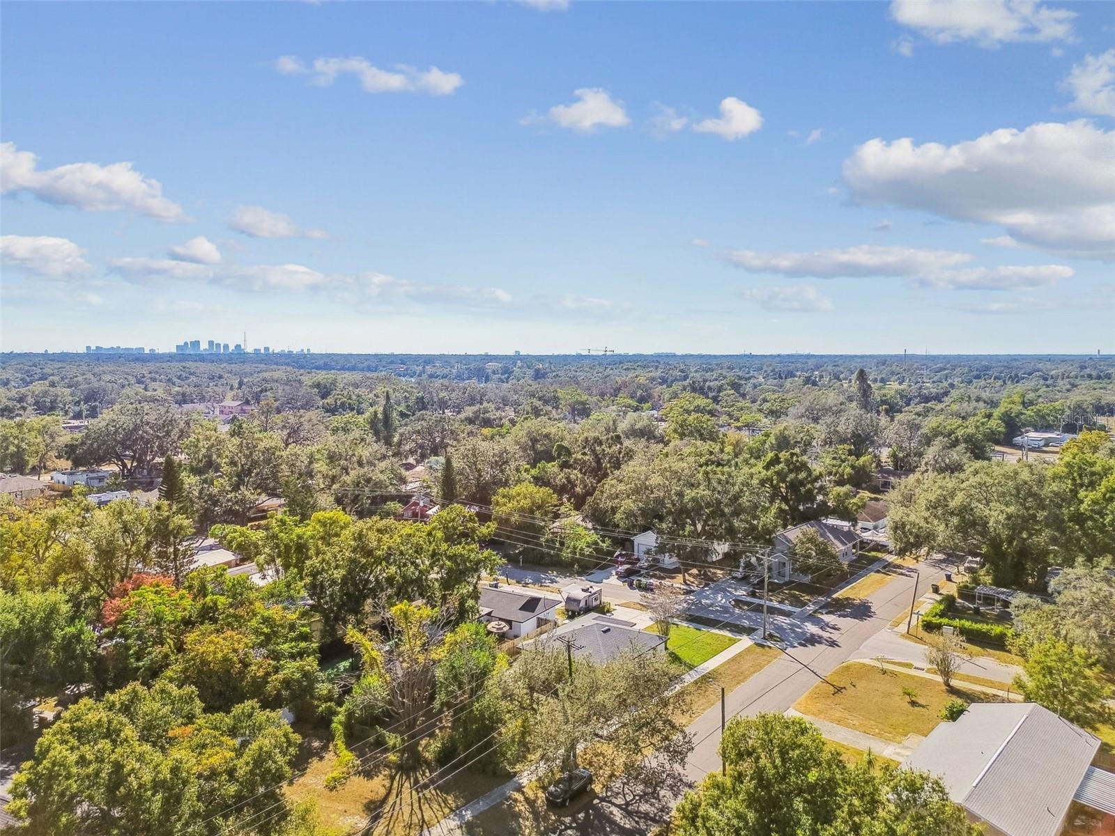 8325 N ORANGEVIEW AVE, TAMPA, FL, 33617