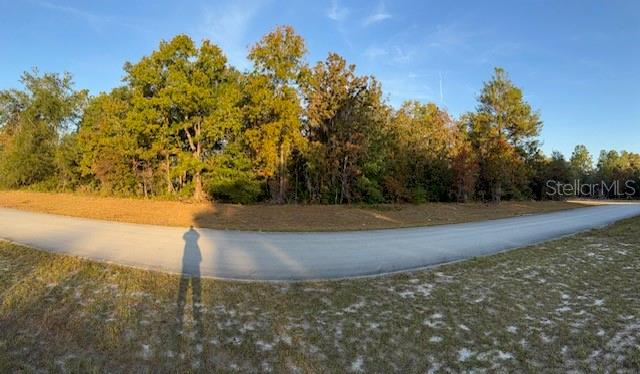 TBD SW 138TH LN, OCALA, FL, 34473