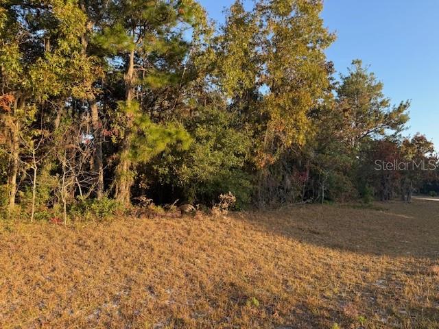 TBD SW 138TH LN, OCALA, FL, 34473