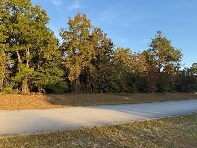TBD SW 138TH LN, OCALA, FL, 34473