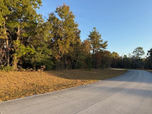 TBD SW 138TH LN, OCALA, FL, 34473