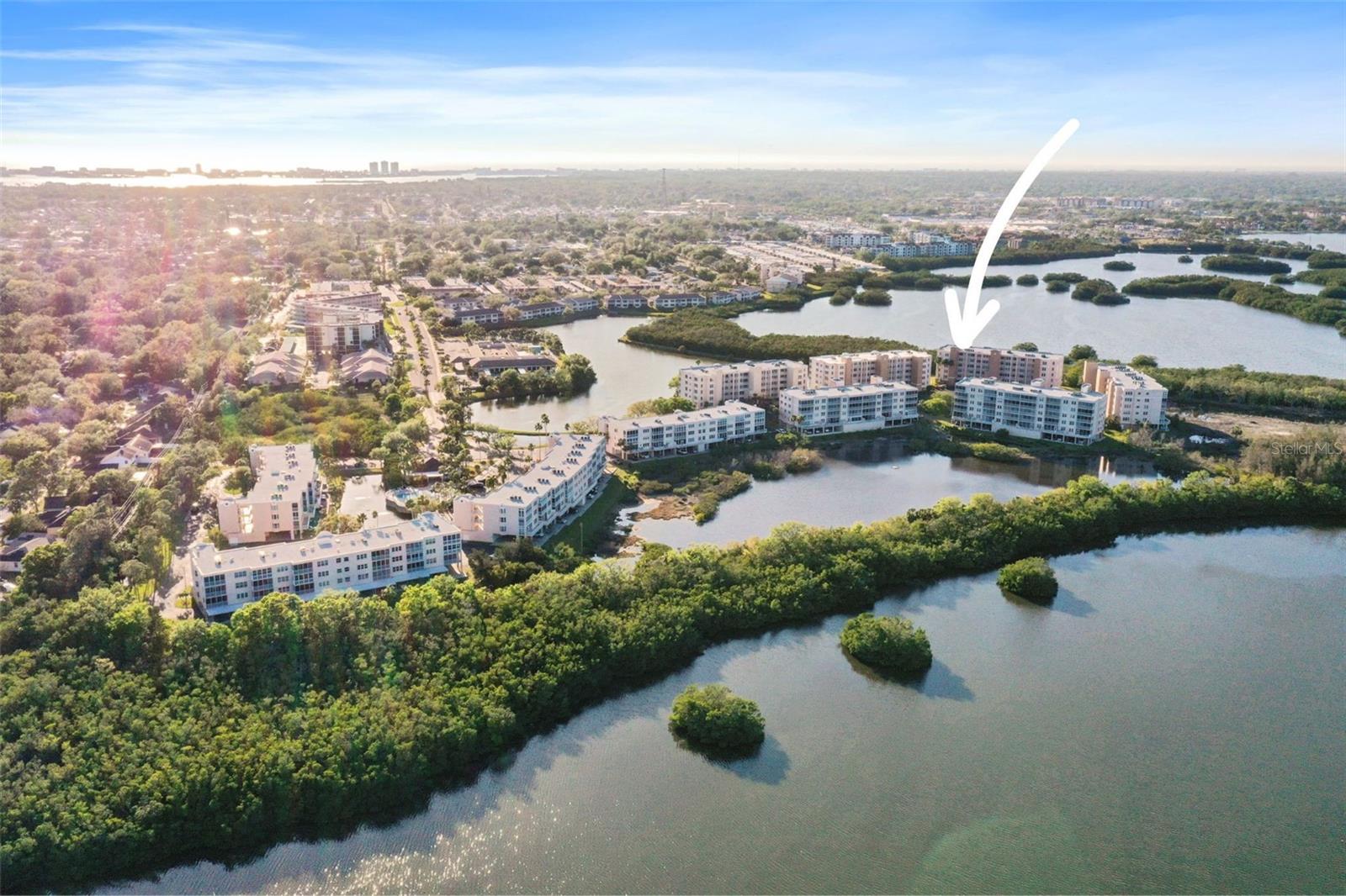 6495 SHORELINE DR #8502, ST PETERSBURG, FL, 33708