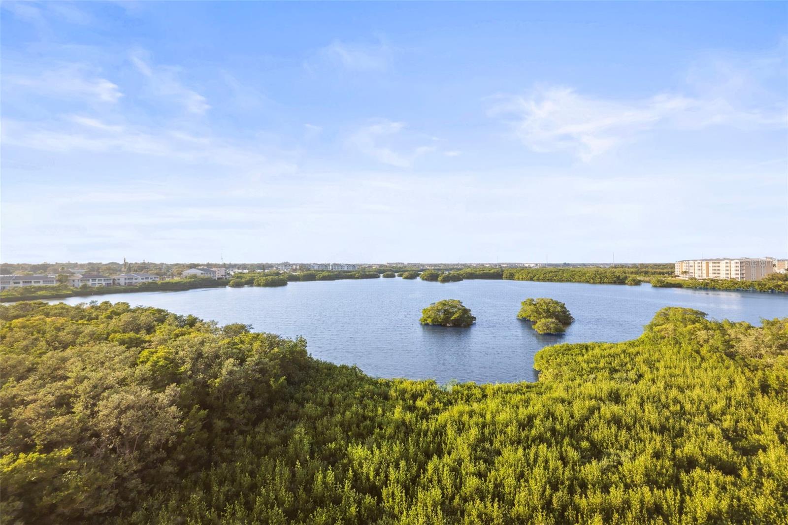 6495 SHORELINE DR #8502, ST PETERSBURG, FL, 33708