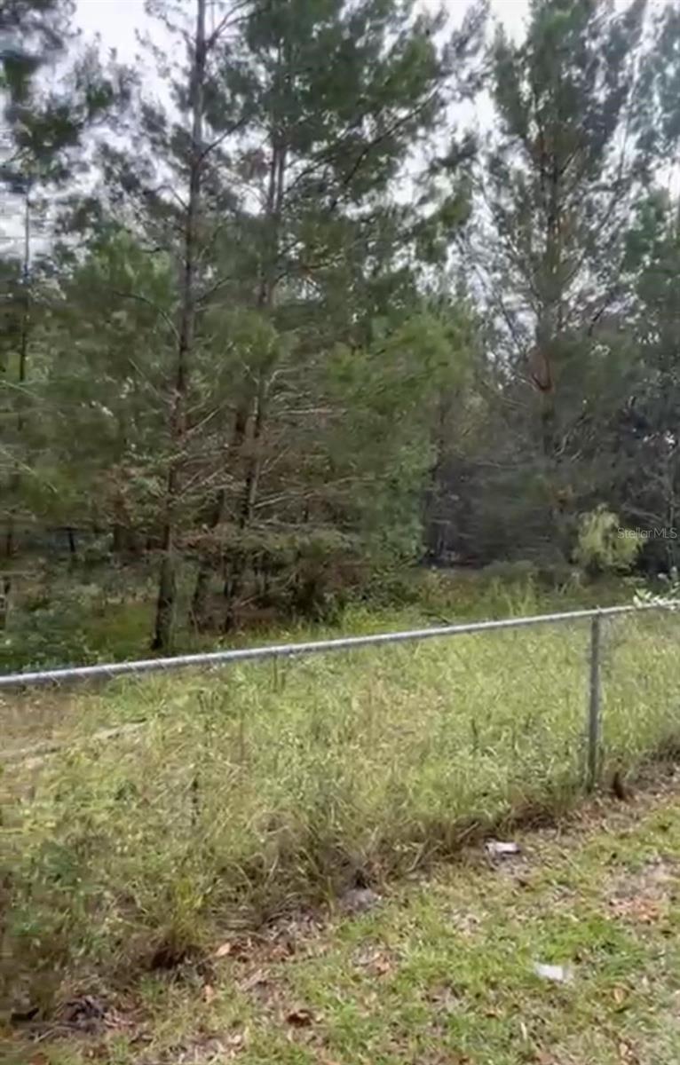 2899 NE 147TH CT, SILVER SPRINGS, FL, 34488