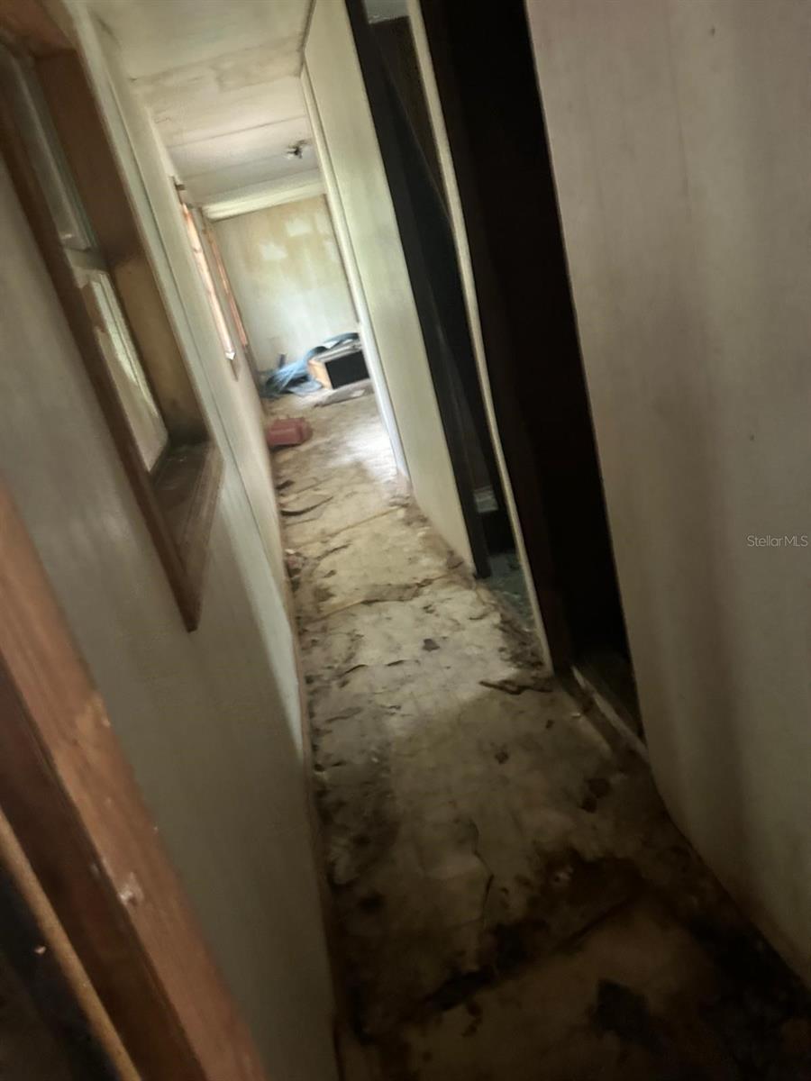 2899 NE 147TH CT, SILVER SPRINGS, FL, 34488