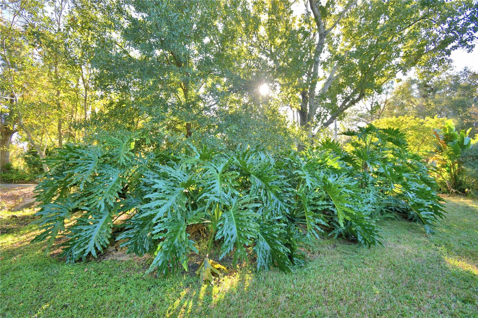 329 EL DORADO, WINTER HAVEN, FL, 33884