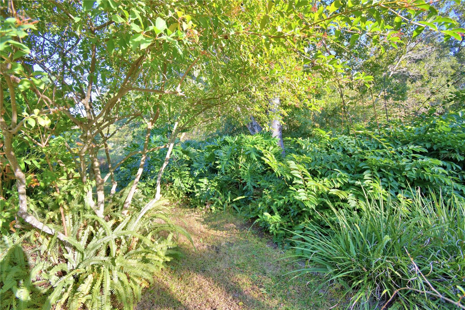 329 EL DORADO, WINTER HAVEN, FL, 33884