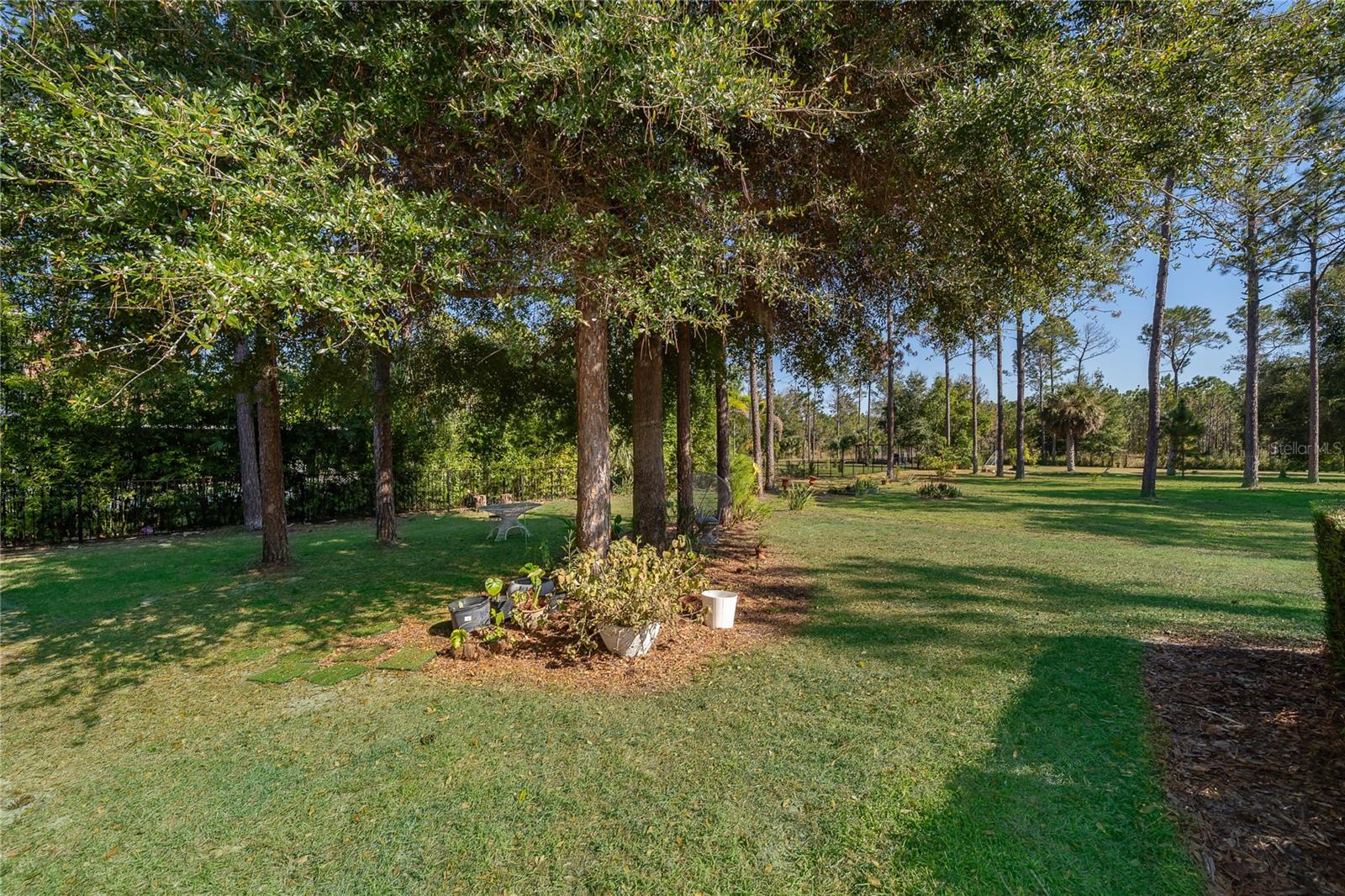 16828 VINCI WAY, BELLA COLLINA, FL, 34756