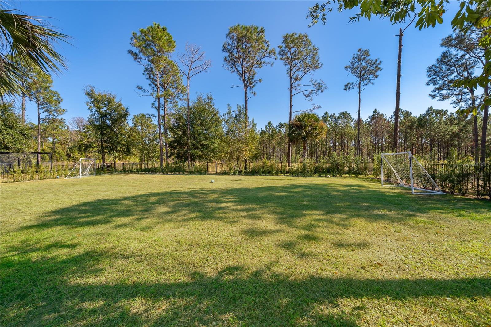 16828 VINCI WAY, BELLA COLLINA, FL, 34756