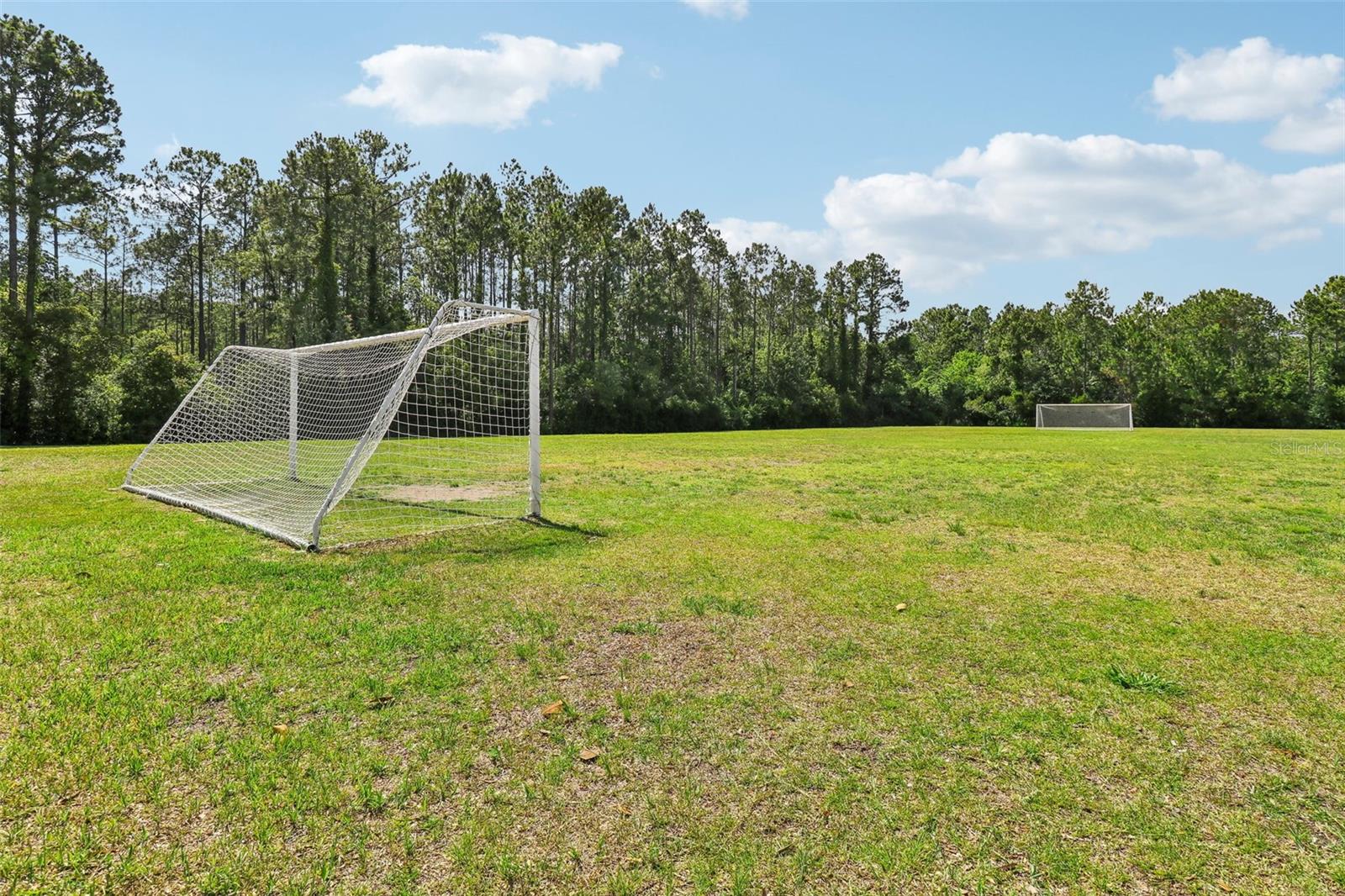 187 APPALOOSA AVE, ST AUGUSTINE, FL, 32095