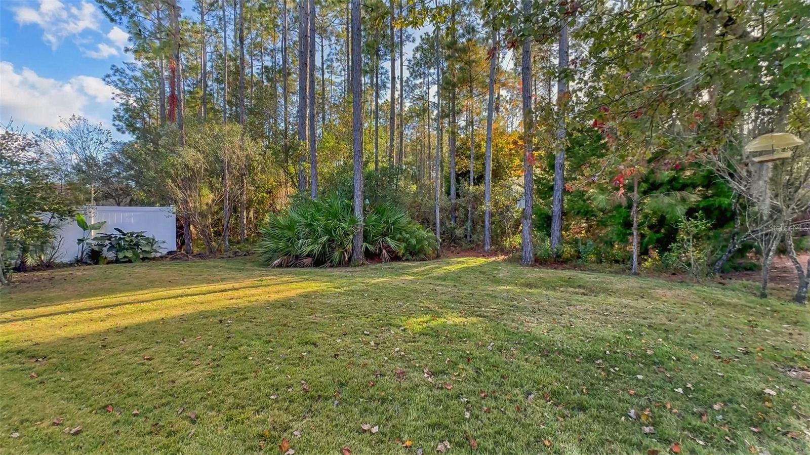 187 APPALOOSA AVE, ST AUGUSTINE, FL, 32095