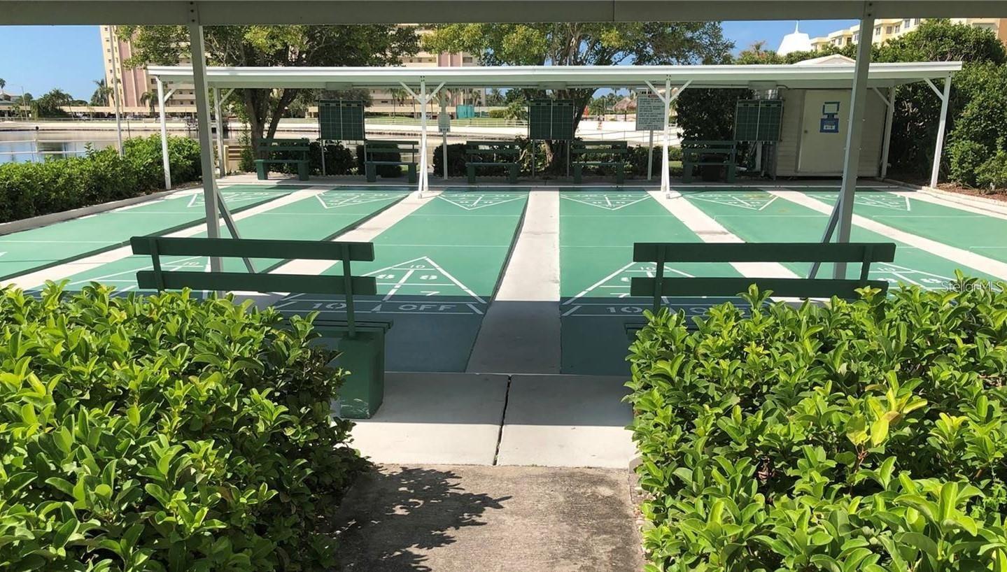 4725 COVE CIR #804, ST PETERSBURG, FL, 33708