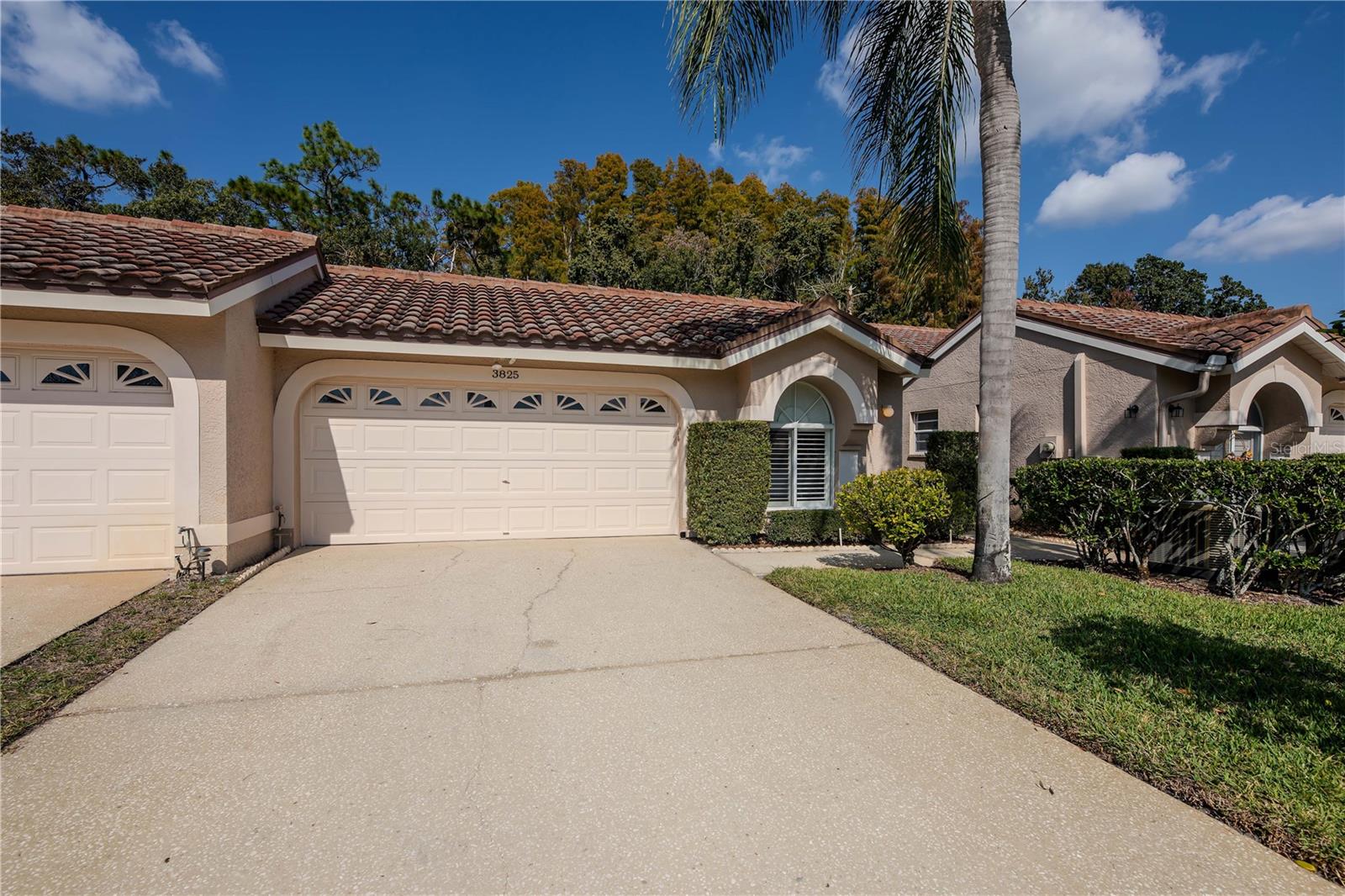 3825 DARSTON ST, PALM HARBOR, FL, 34685