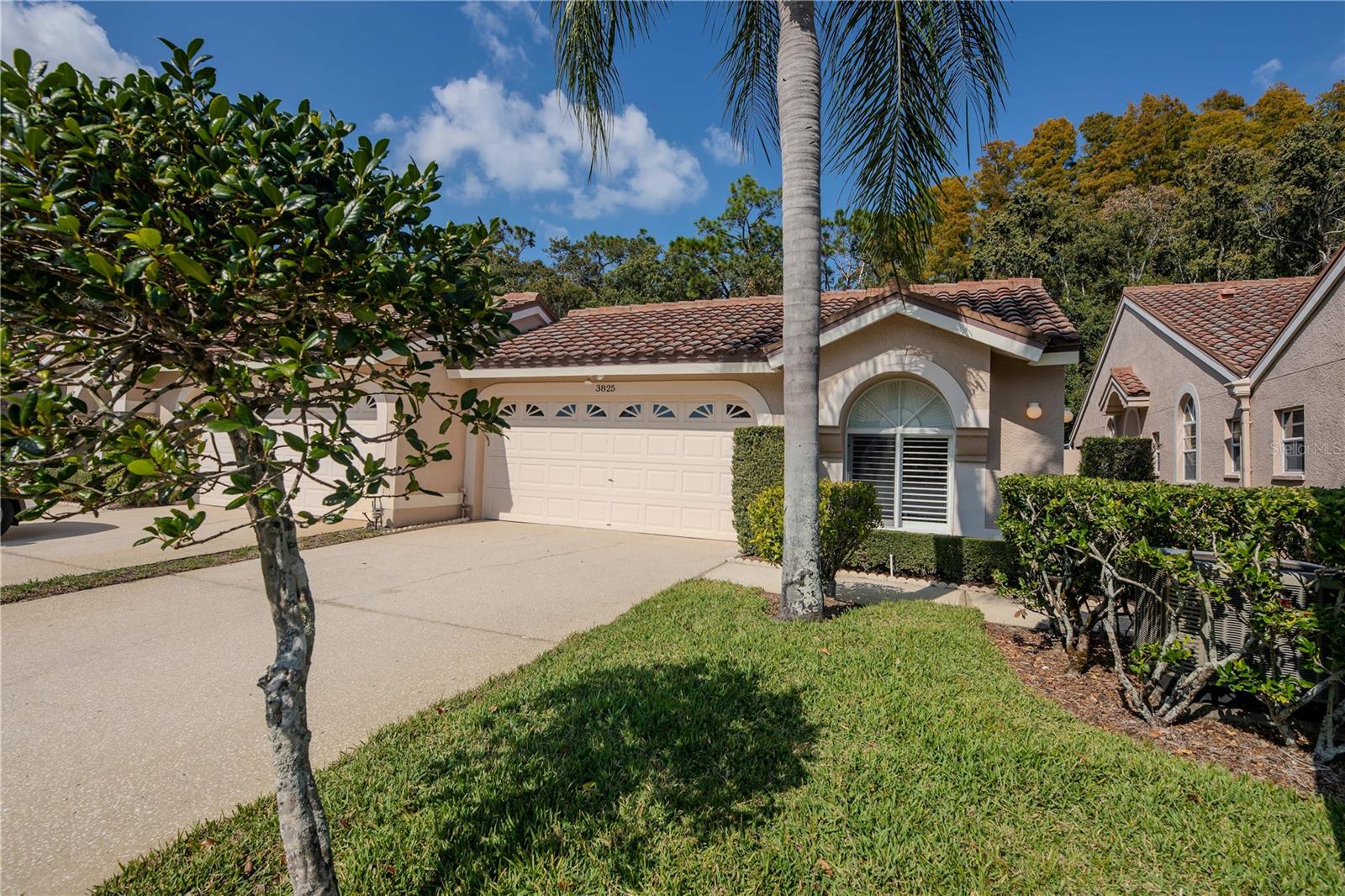 3825 DARSTON ST, PALM HARBOR, FL, 34685