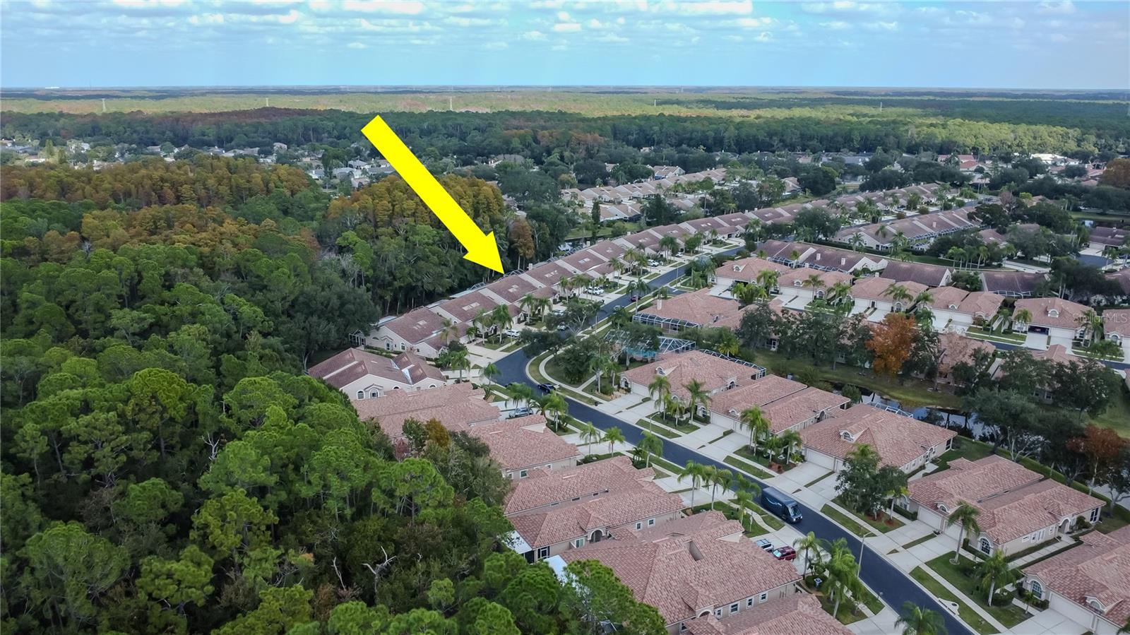 3825 DARSTON ST, PALM HARBOR, FL, 34685