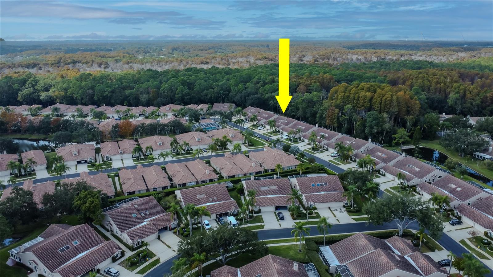 3825 DARSTON ST, PALM HARBOR, FL, 34685