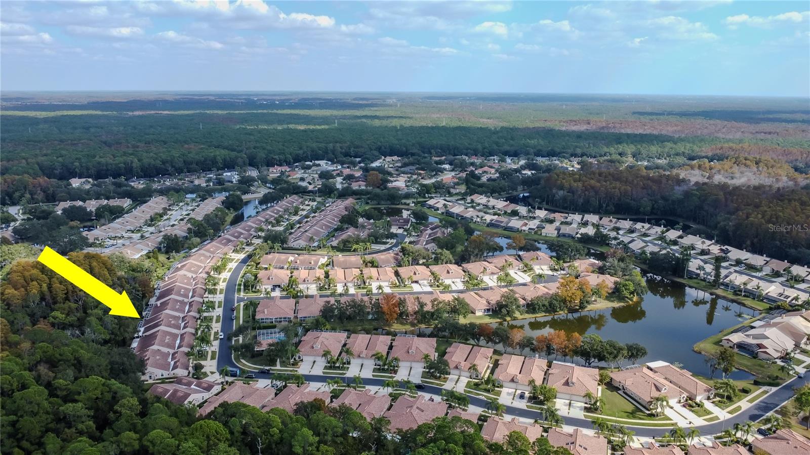 3825 DARSTON ST, PALM HARBOR, FL, 34685