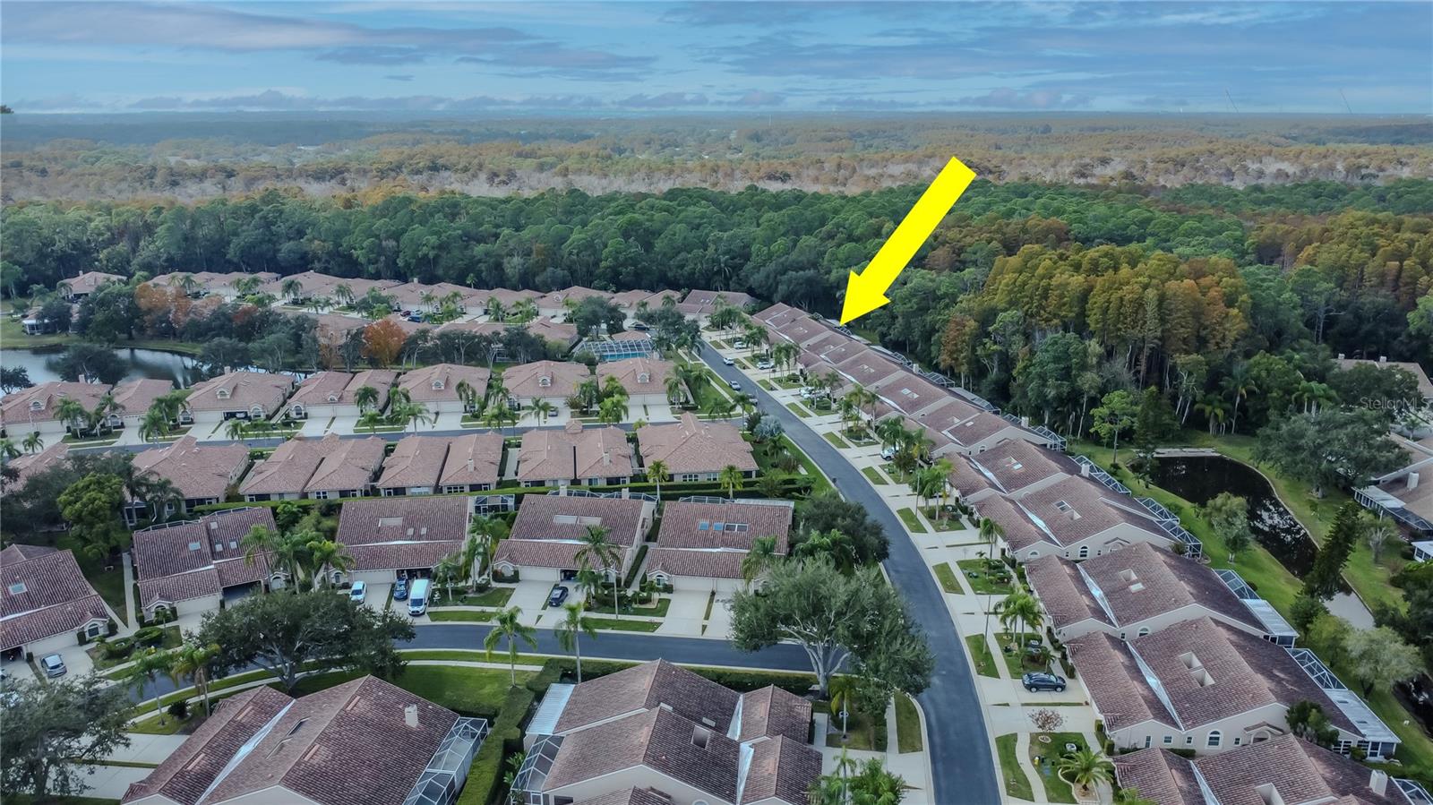 3825 DARSTON ST, PALM HARBOR, FL, 34685