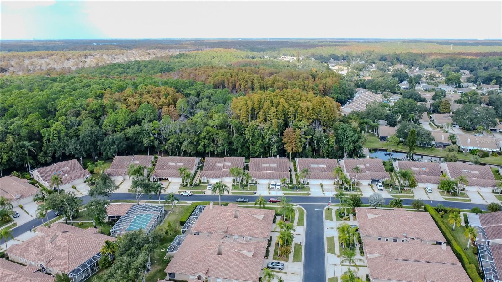 3825 DARSTON ST, PALM HARBOR, FL, 34685