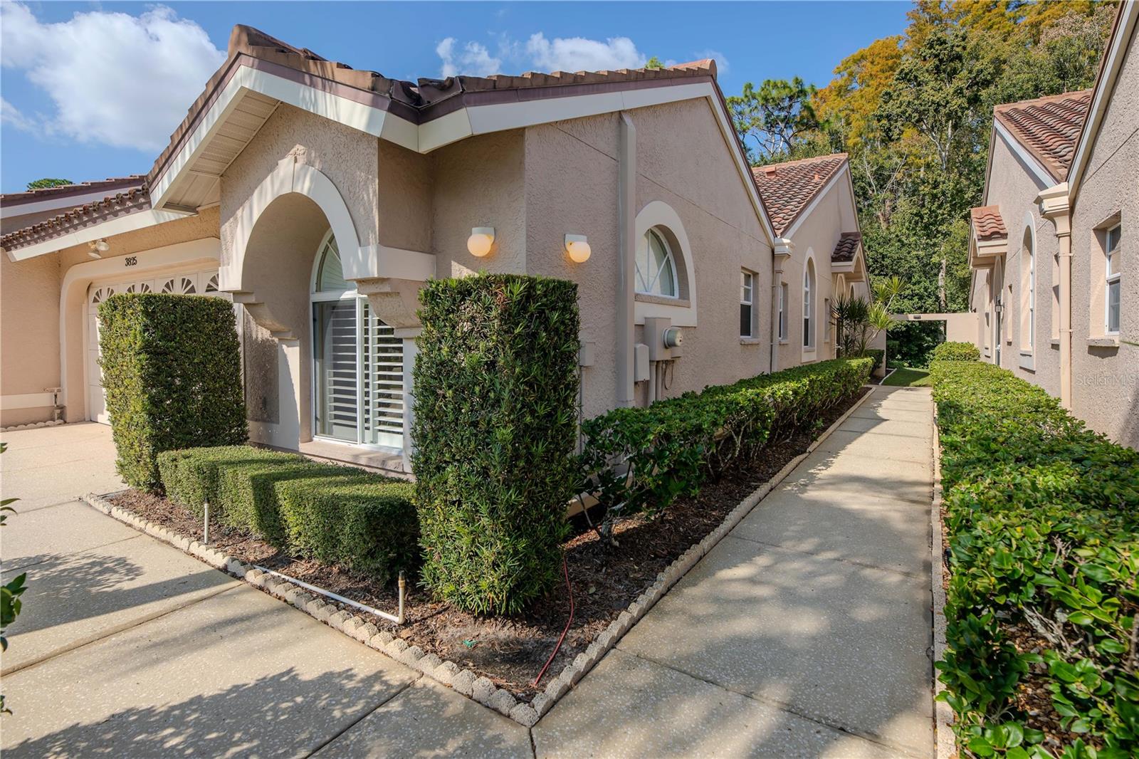 3825 DARSTON ST, PALM HARBOR, FL, 34685