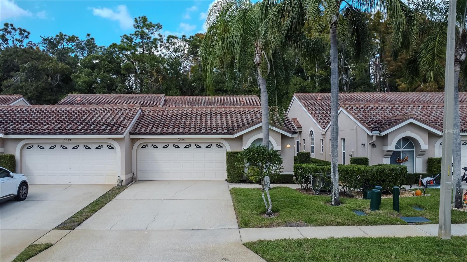 3825 DARSTON ST, PALM HARBOR, FL, 34685