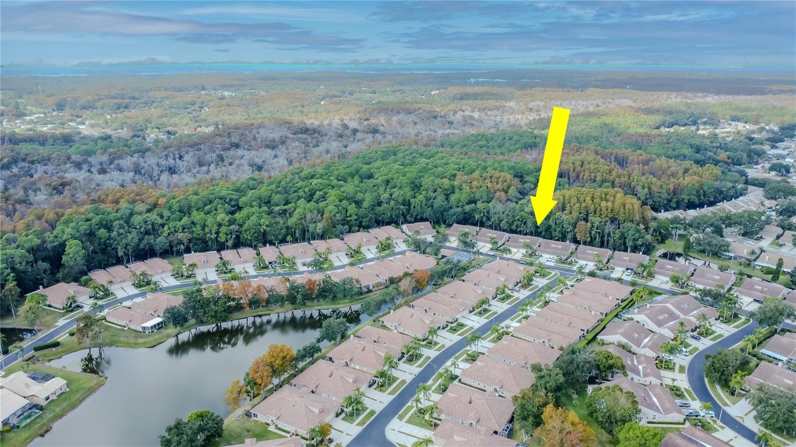 3825 DARSTON ST, PALM HARBOR, FL, 34685