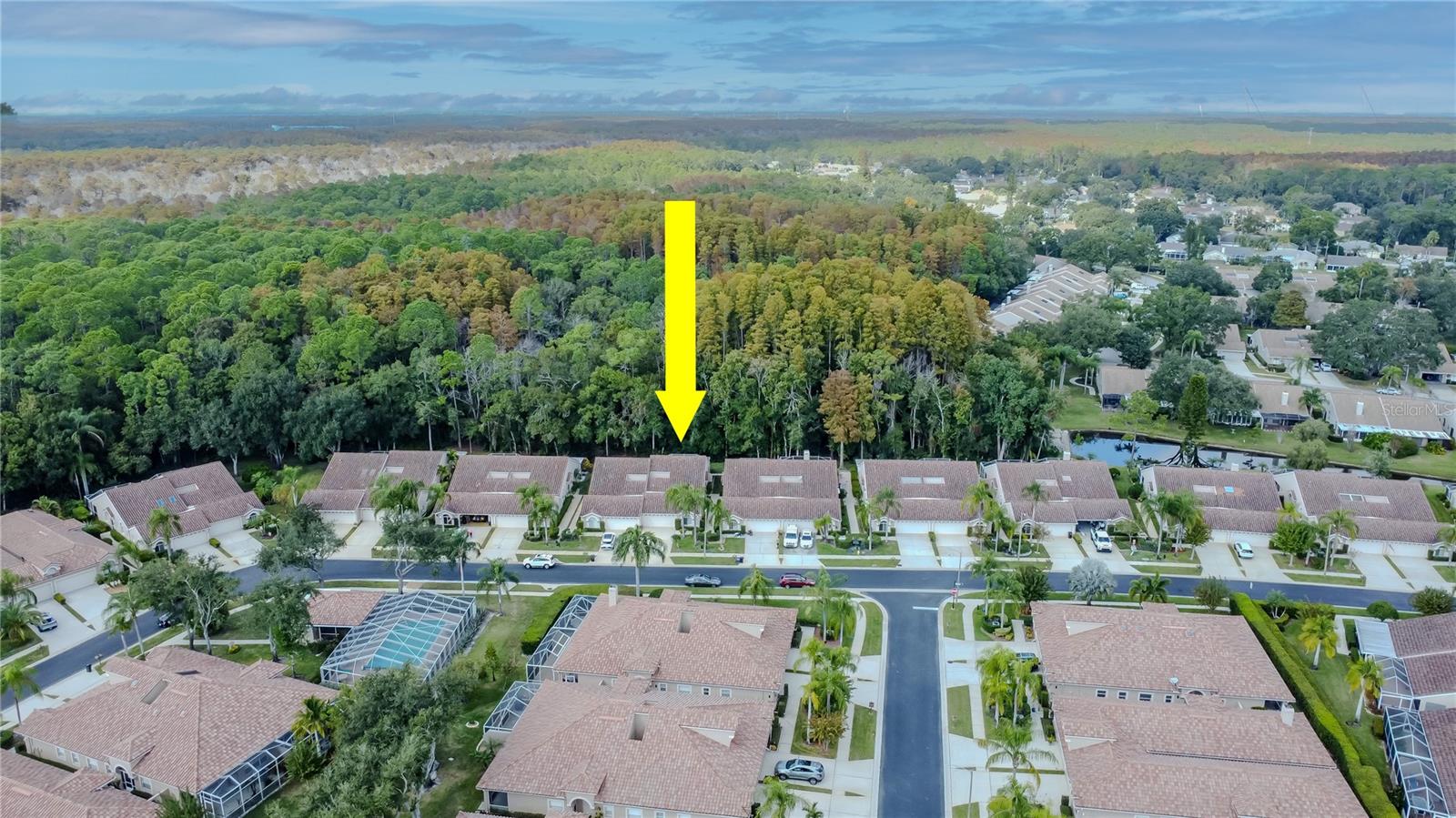 3825 DARSTON ST, PALM HARBOR, FL, 34685