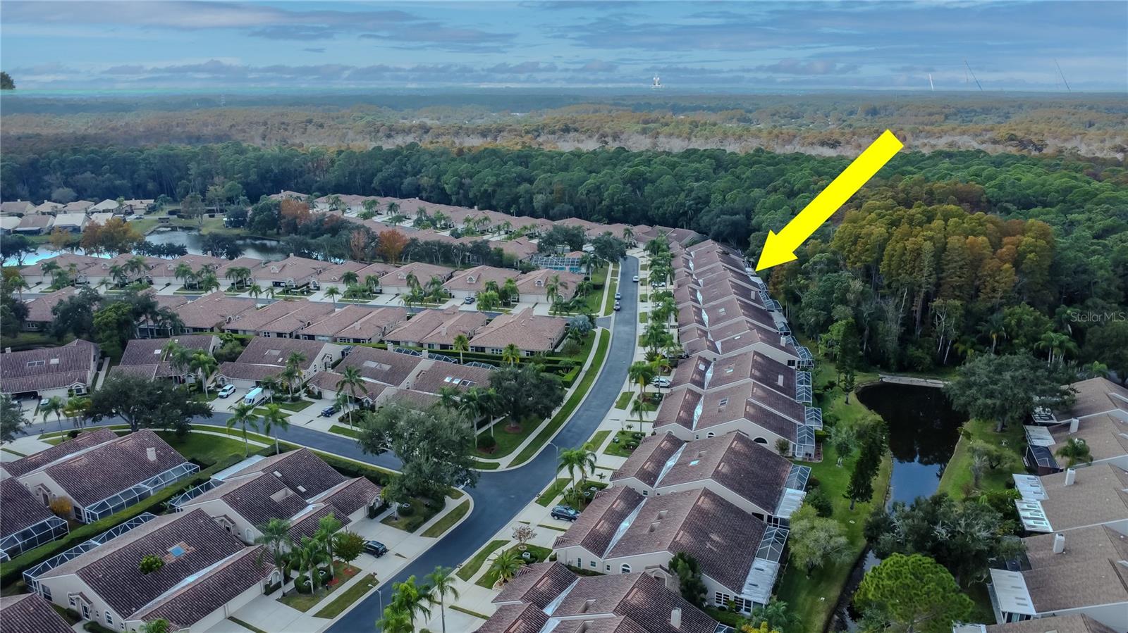 3825 DARSTON ST, PALM HARBOR, FL, 34685