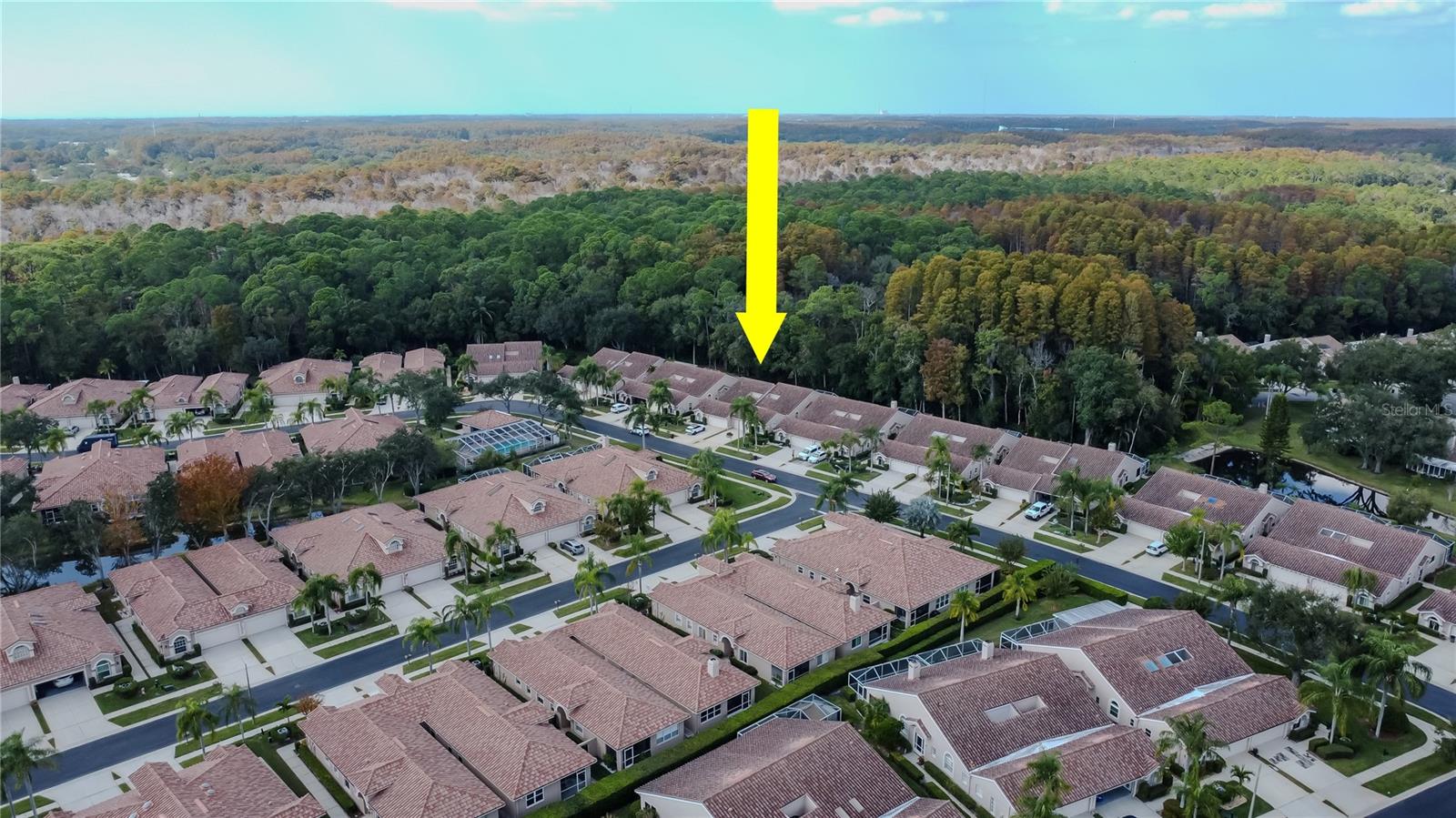 3825 DARSTON ST, PALM HARBOR, FL, 34685